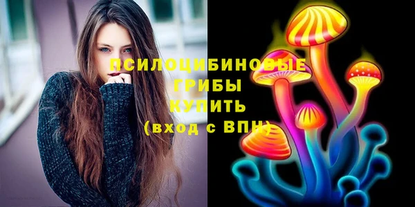 прущие крисы Рославль