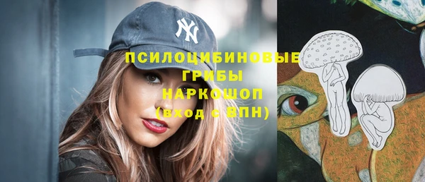 прущие крисы Рославль