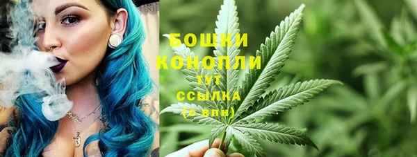 дмт Россошь