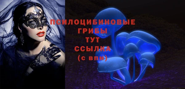дмт Россошь