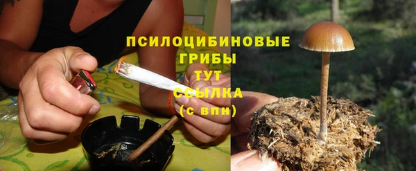 дмт Россошь