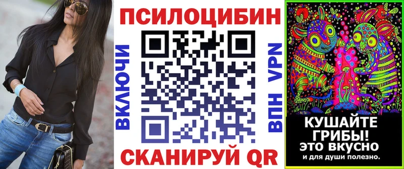 магазин продажи   Хвалынск  Галлюциногенные грибы Magic Shrooms 